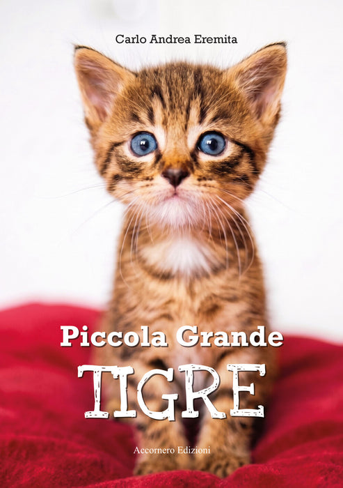 Piccola Grande Tigre