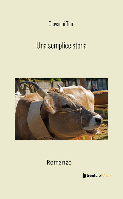 Una semplice storia