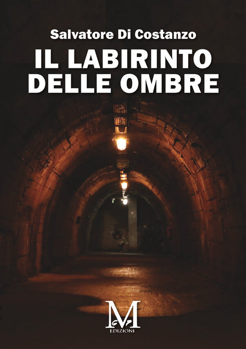 Il labirinto delle ombre