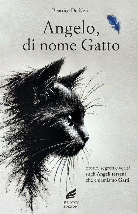 Angelo, di nome gatto