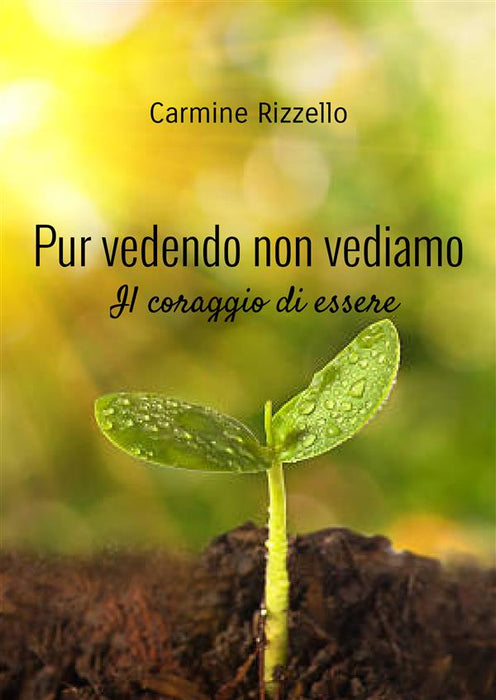 Pur vedendo non vediamo