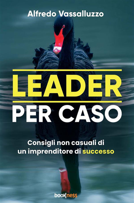 Leader per caso