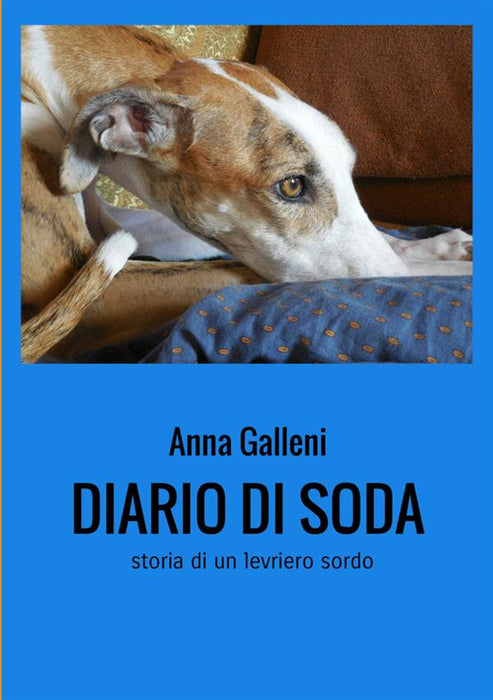 Diario di Soda