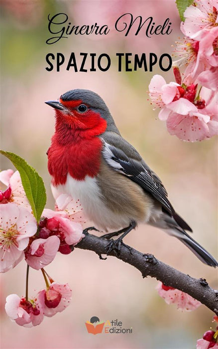 SPAZIO TEMPO