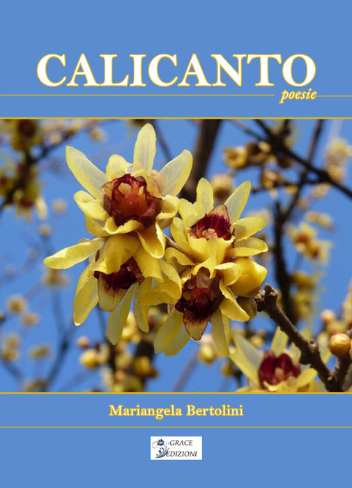 Calicanto