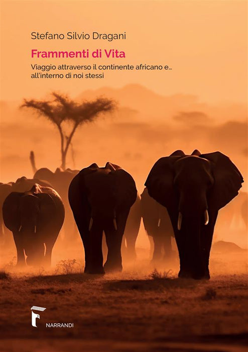 Frammenti di vita