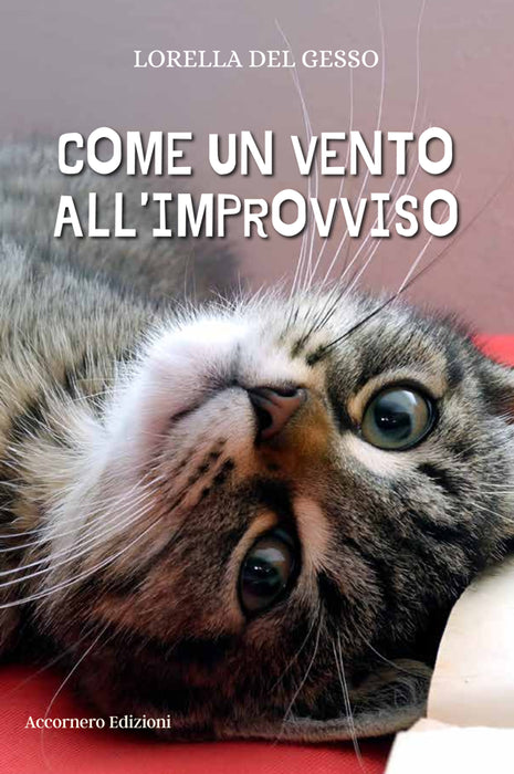 Come un vento all’improvviso