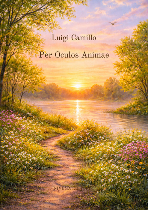 Per Oculos Animae