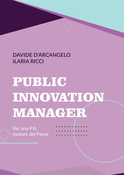 Public Innovation Manager