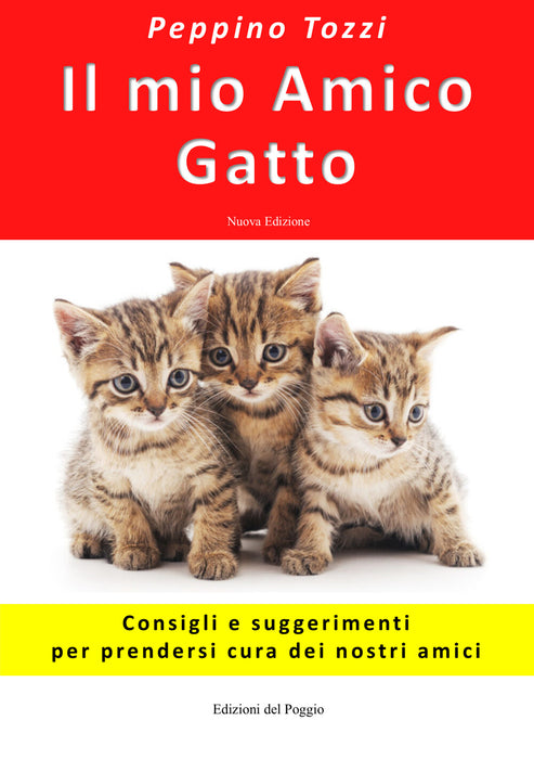 Il mio amico gatto