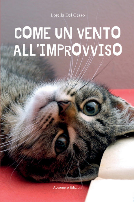 Come un vento all’improvviso