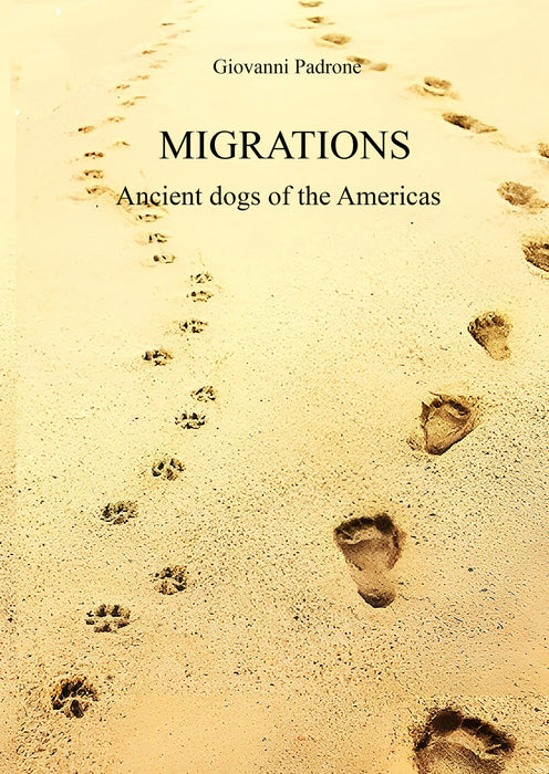 Migrations