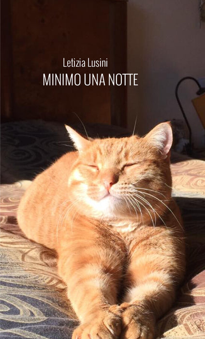 Minimo una notte