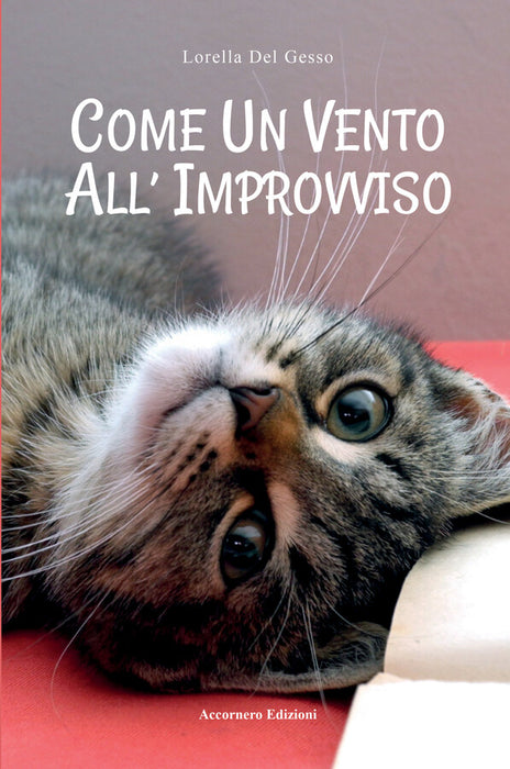 Come un vento all’improvviso