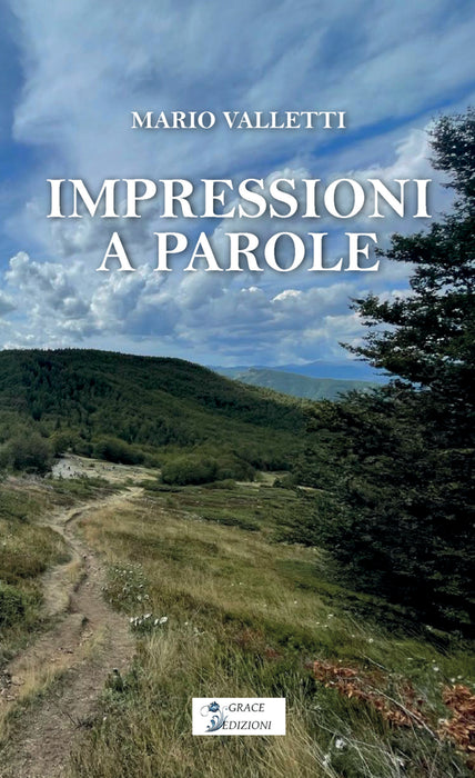 Impressioni a parole