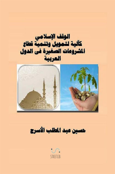 الوقف الإسلامي كآلية لتمويل وتنمية المشروعات الصغيرة