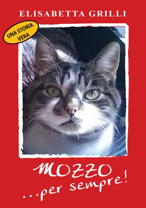 Mozzo ...per sempre!