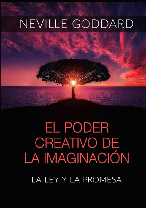 El poder creativo de la Imaginación