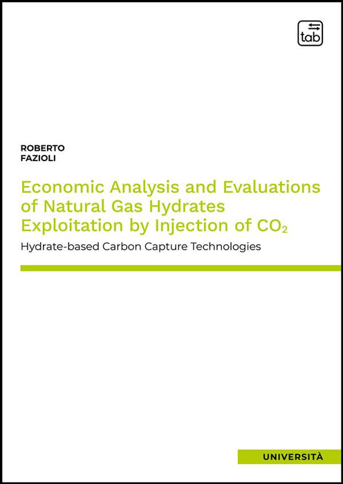 Economic Analysis and Evaluations of Natural Gas Hydrates Exploitation by Injection of CO2