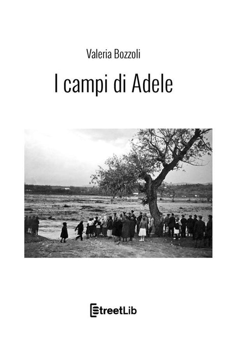 I campi di Adele