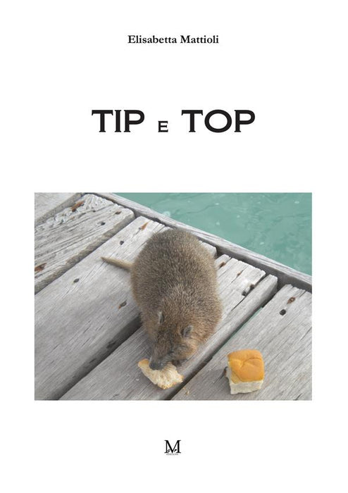 Tip e top