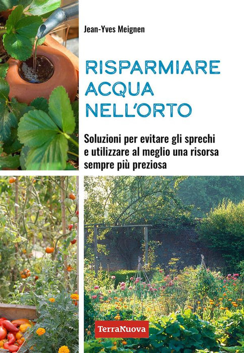 Risparmiare acqua nell'orto. Soluzioni per evitare gli sprechi e utilizzare al meglio una risorsa sempre più preziosa