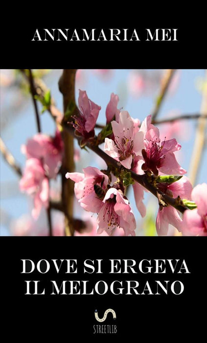 Dove si ergeva il melograno