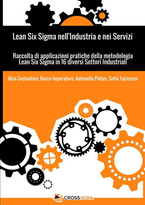 Lean Six Sigma nell'Industria e nei Servizi